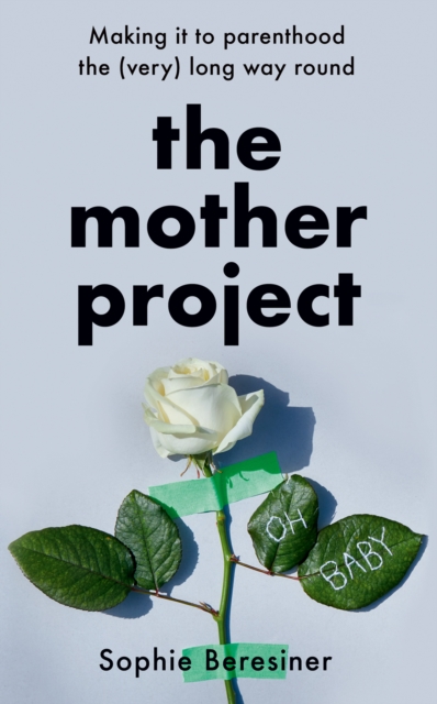 The Mother Project : Making It to Parenthood the (Very) Long Way Round