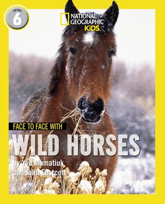 Face to Face with Wild Horses : Level 6