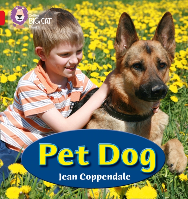 Pet Dog : Band 02A/Red A