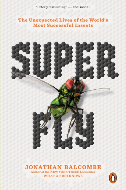 Super Fly : The Unexpected Lives of the World's Most Successful Insects