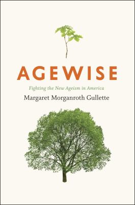 Agewise : Fighting the New Ageism in America