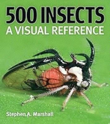 500 Insects : A Visual Reference