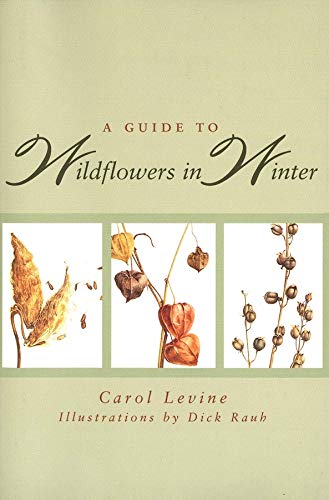 A Guide to Wildflowers in Winter : Herbaceous Plants of Northeastern North America