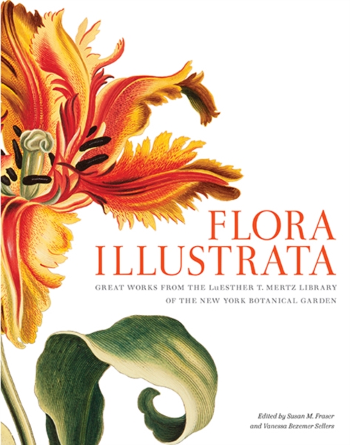 Flora Illustrata : Great Works from the LuEsther T. Mertz Library of the New York Botanical Garden