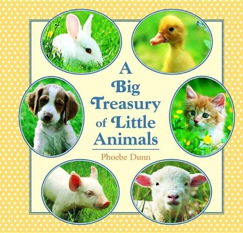 Big Treasury of Little Animals