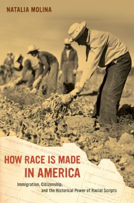 How Race Is Made in America : Immigration, Citizenship, and the Historical Power of Racial Scripts