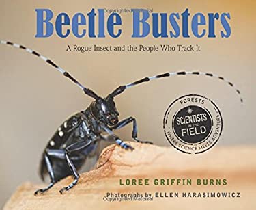 Beetle Busters : A Rogue Insect and the People Who Track It