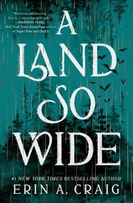 A Land So Wide : A Novel
