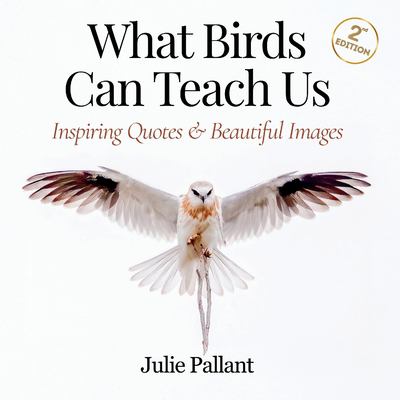 What Birds Can Teach Us : Inspiring Quotes and Beautiful Images