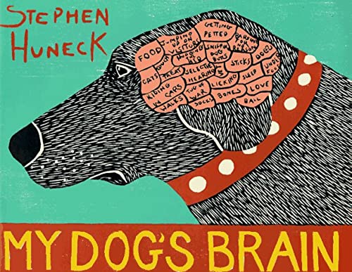 My Dog's Brain