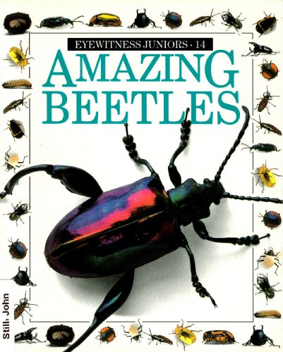 Amazing Beetles