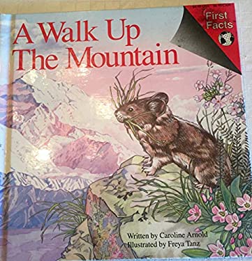 A Walk up a Mountain