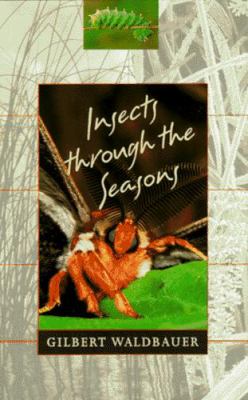 Insects Through the Seasons