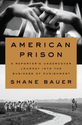 American Prison : A Reporter's Undercover Journey into the Business of Punishment