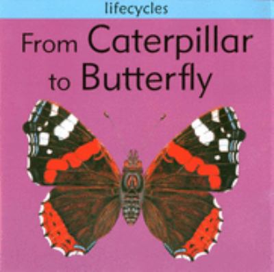 From Caterpillar to Butterfly