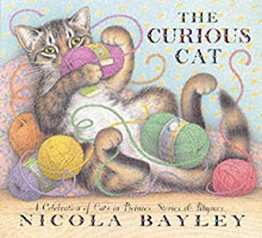 The Curious Cat