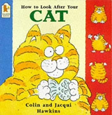 How to Look after Your Cat