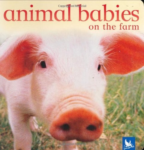 Animal Babies on the Farm