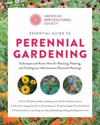 Essential Guide to Perennial Gardening : Techniques and Know-How for Planning, Planting, and Tending Low-Maintenance Perennial Plantings