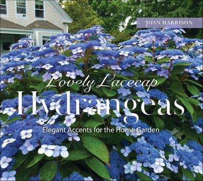Lovely Lacecap Hydrangeas : Elegant Accents for the Home Garden