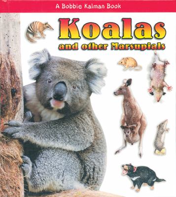 Koalas and Other Marsupials