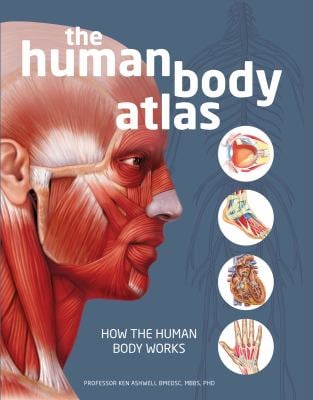 The Human Body Atlas : How the Human Body Works