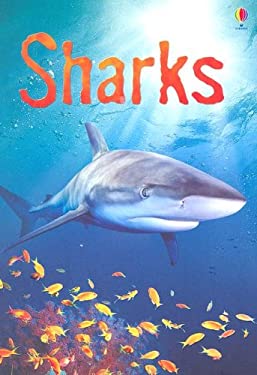 Sharks : Information for Young Readers - Level 1