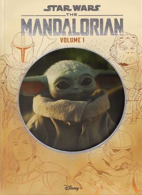 Star Wars: the Mandalorian
