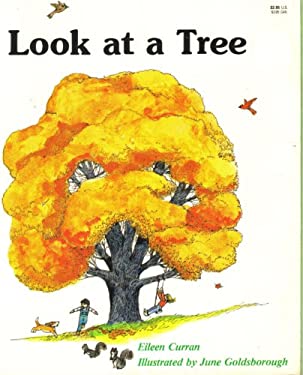 Look at a Tree