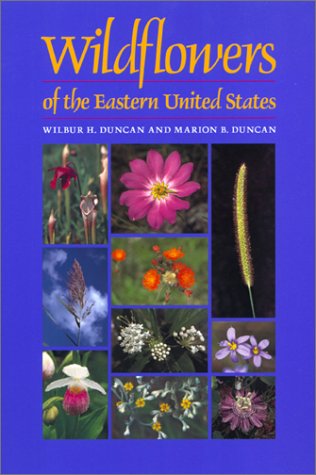 Wildflowers of the Eastern United States