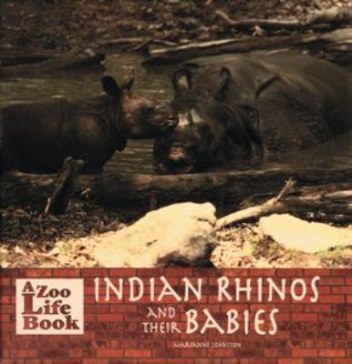 Mother Indian Rhinos and Their Babies