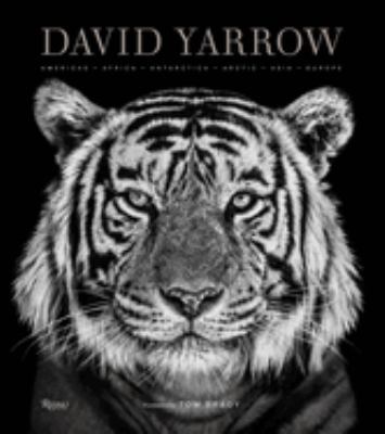 David Yarrow Photography : Americas Africa Antarctica Arctic Asia Europe