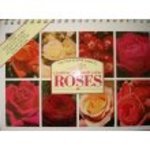 The Step-By-Step Guide to Growing and Displaying Roses