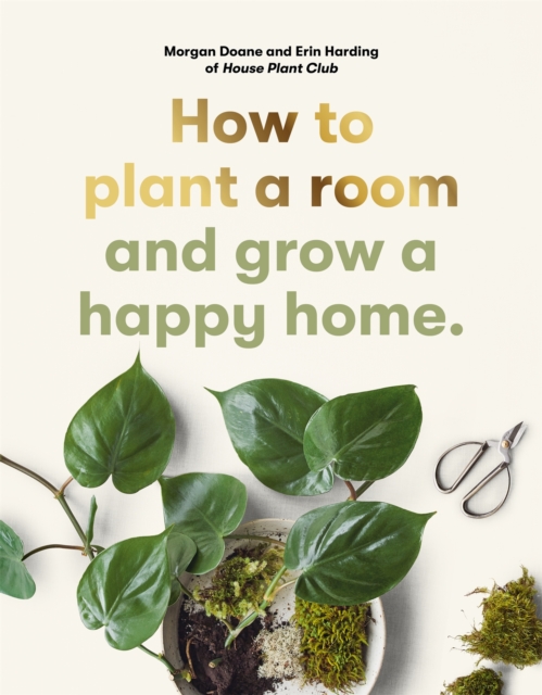 How to Plant a Room : And Grow a Happy Home