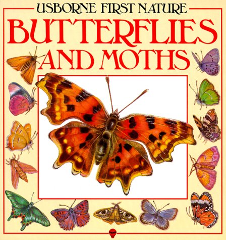 Butterflies and Moths