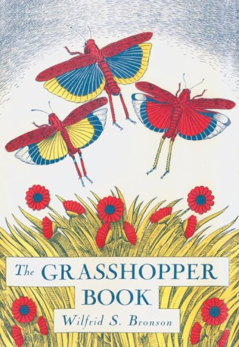 The Grasshopper Book