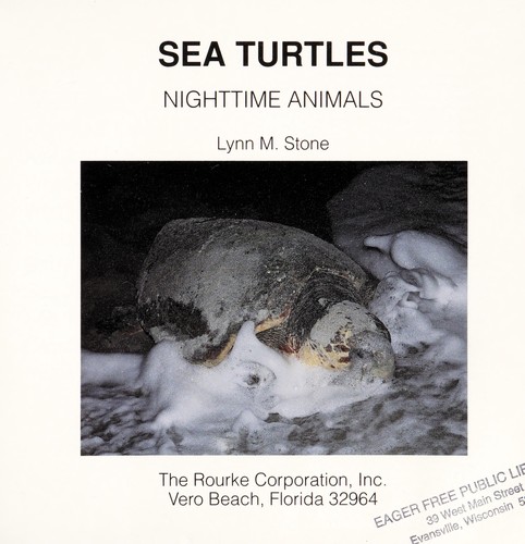 Sea Turtles