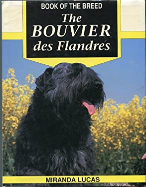 Bouvier des Flandres
