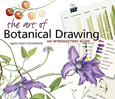 The Art of Botanical Drawing : An Introductory Guide