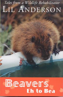 Beavers Eh to Bea : Tales from a Wildlife Rehabilitator