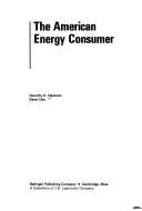 The American Energy Consumer