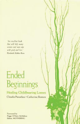 Ended Beginnings : Healing Childbearing Losses