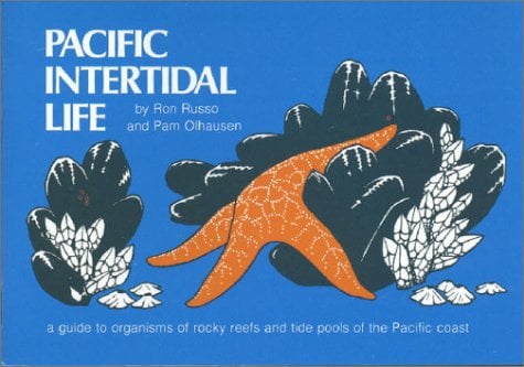 Pacific Intertidal Life : A Guide to Organisms of Rocky Reefs and Tide Pools of the Pacific Coast