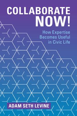 Collaborate Now! : How Expertise Becomes Useful in Civic Life