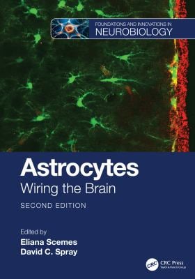 Astrocytes : Wiring the Brain