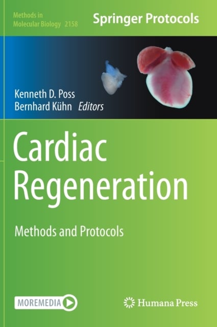 Cardiac Regeneration : Methods and Protocols