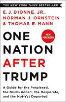 One Nation after Trump : A Guide for the Perplexed, the Disillusioned, the Desperate, and the Not-Yet Deported