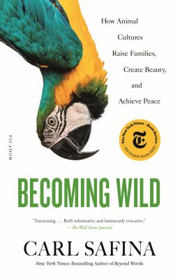 Becoming Wild : How Animal Cultures Raise Families, Create Beauty, and Achieve Peace