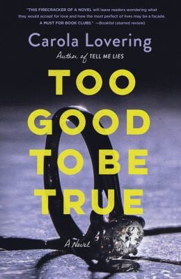 Too Good to Be True : A Novel