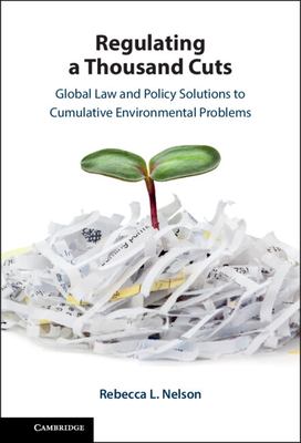 Regulating a Thousand Cuts : Global Law and Policy Solutions to Cumulative Environmental Problems